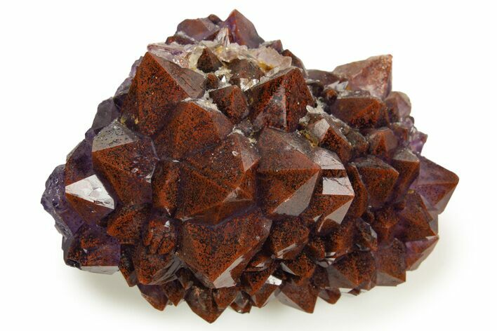 Thunder Bay Amethyst Cluster with Hematite - Top Quality! #326401